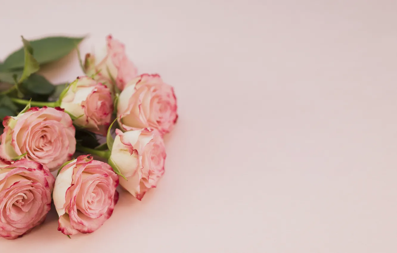 Photo wallpaper roses, bouquet, Pink, Petals, Beautiful, Beautiful