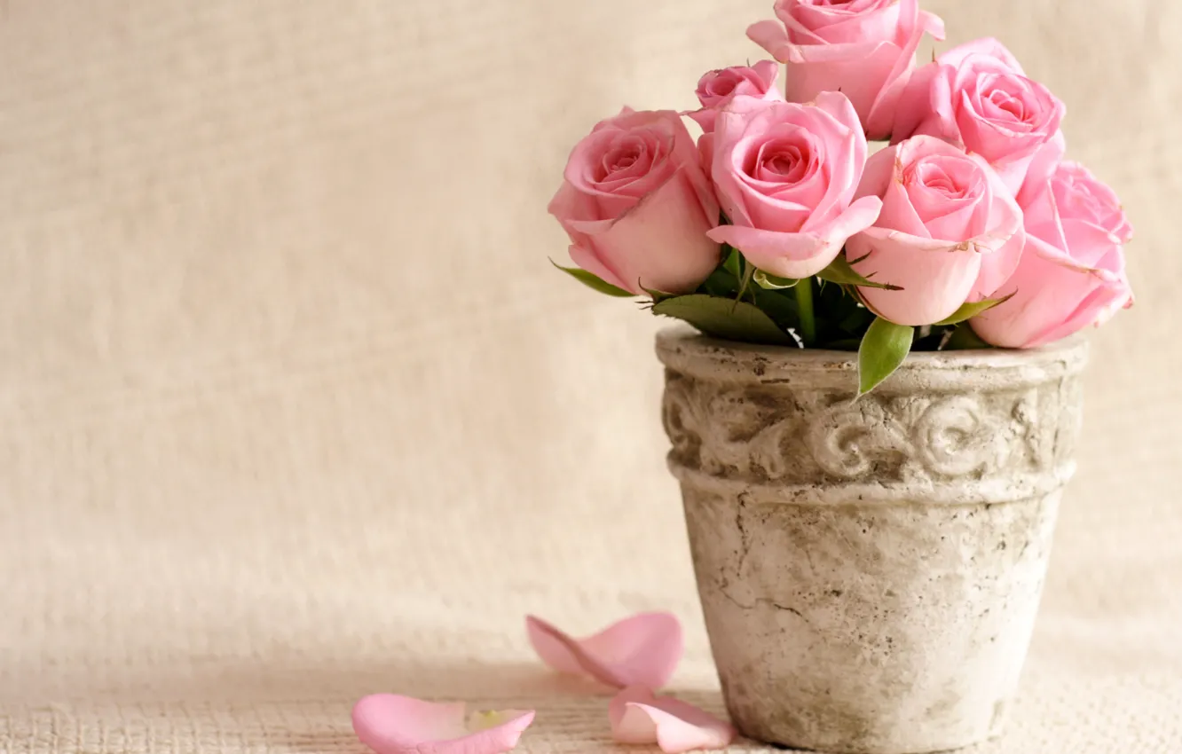 Photo wallpaper flowers, roses, petals, pot, pink, pot