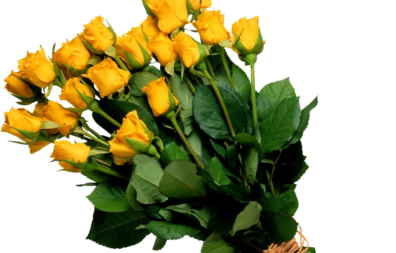 Photo wallpaper flowers, yellow, roses, bouquet