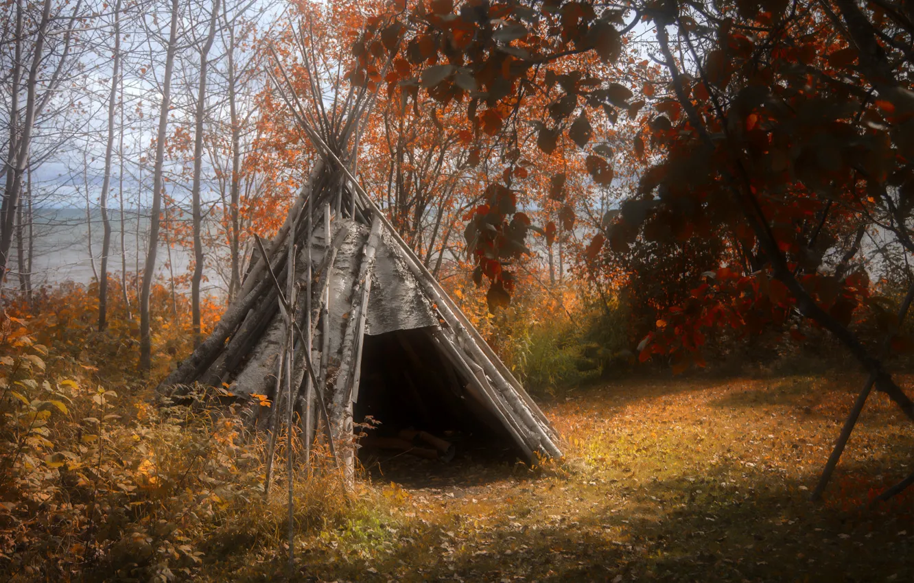 Photo wallpaper autumn, forest, wigwam