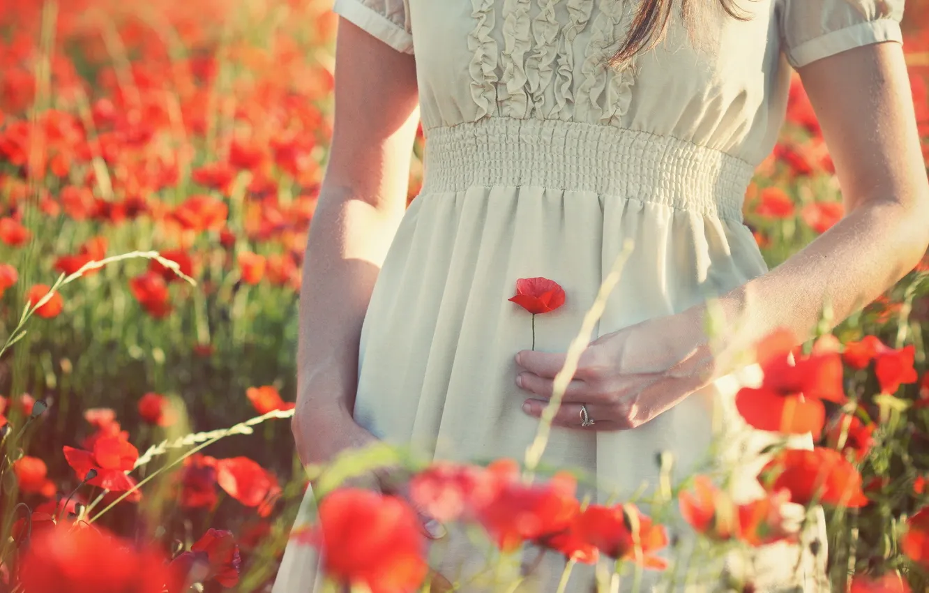 Photo wallpaper summer, girl, flowers