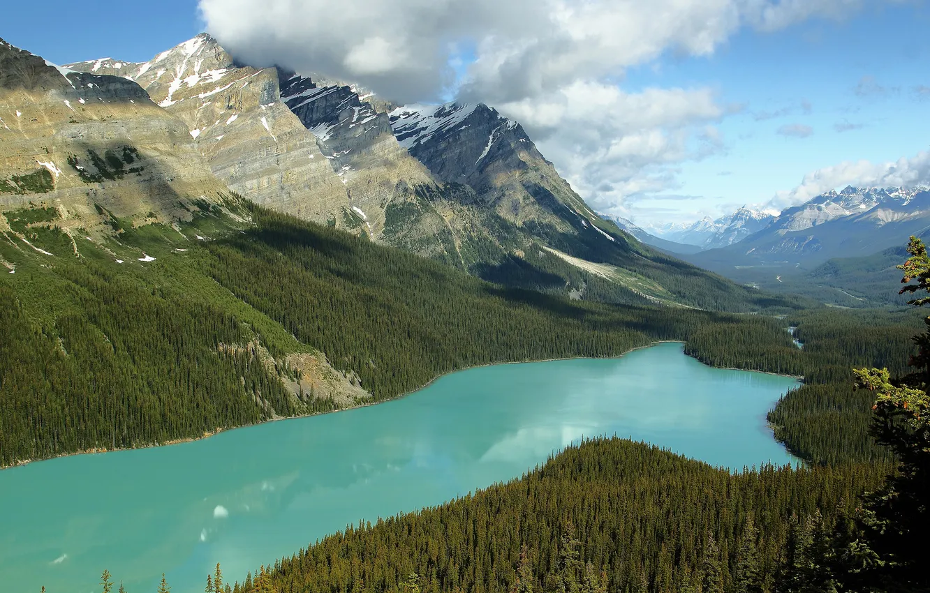 Photo wallpaper forest, the sky, clouds, lake, Canada, Albert, Banff national Park, Peyto