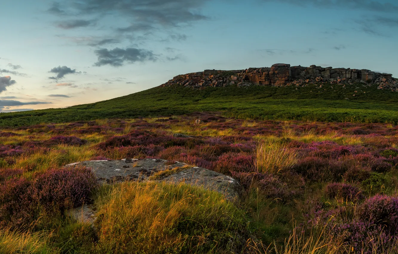 Photo wallpaper grass, stones, the evening, plain, hill, UK, lavender, Peak District National Park
