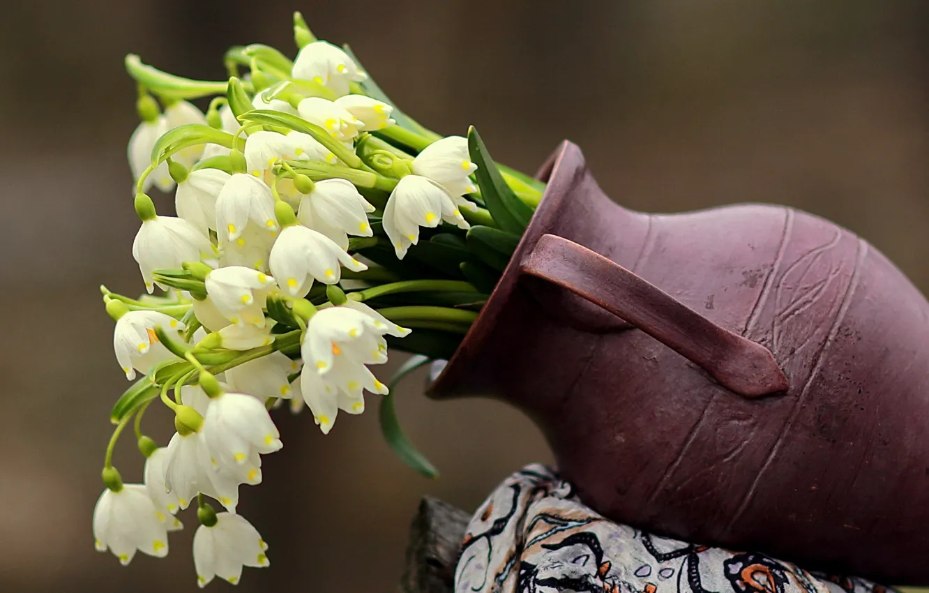 Photo wallpaper grass, flowers, nature, the city, paint, beauty, spring, snowdrops