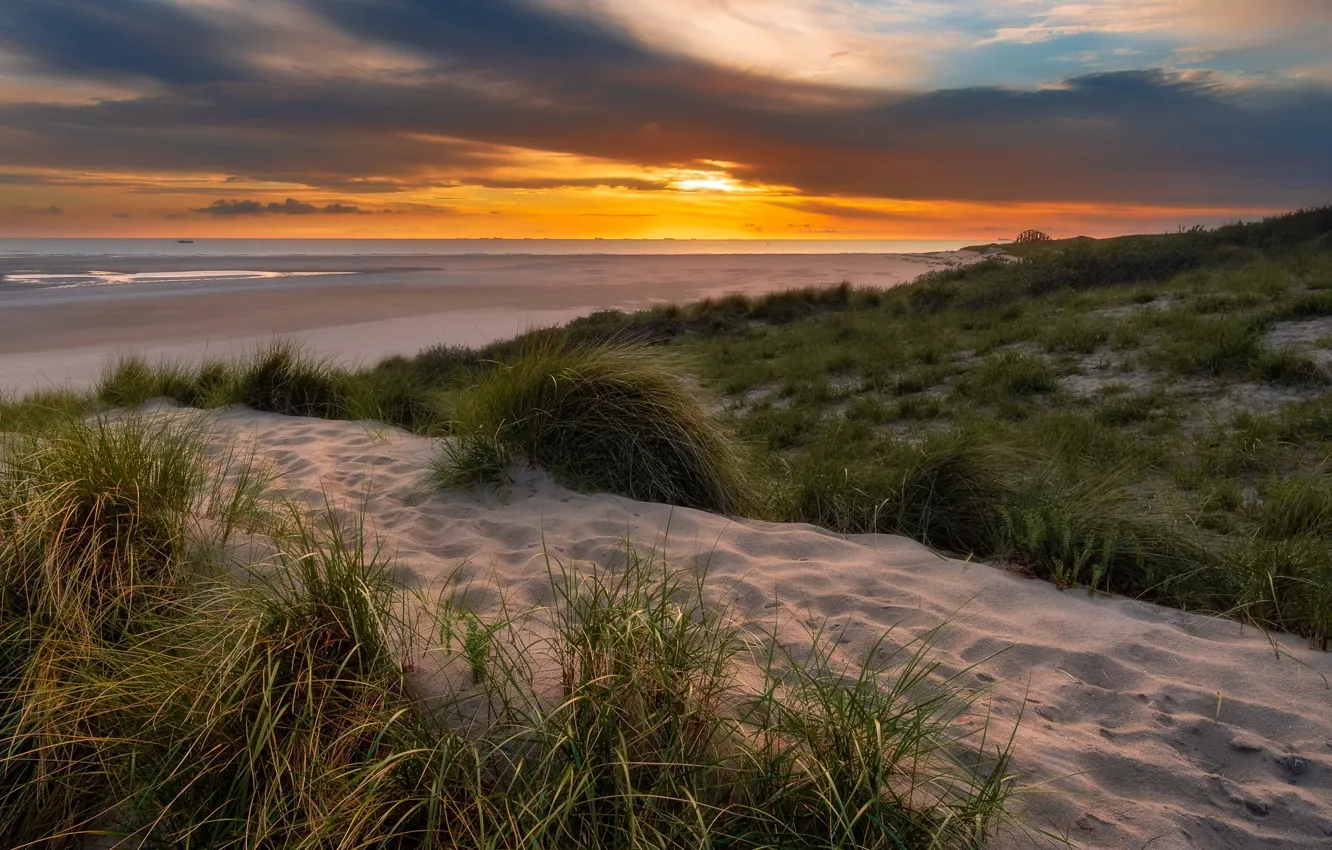 Photo wallpaper sea, sunset, shore, dunes