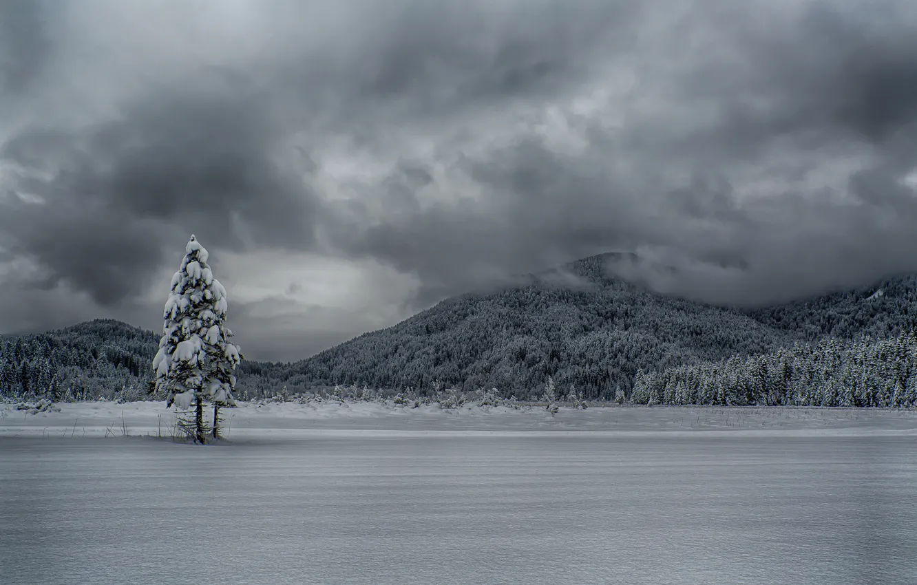 Photo wallpaper winter, the sky, clouds, trees, mountains, lake