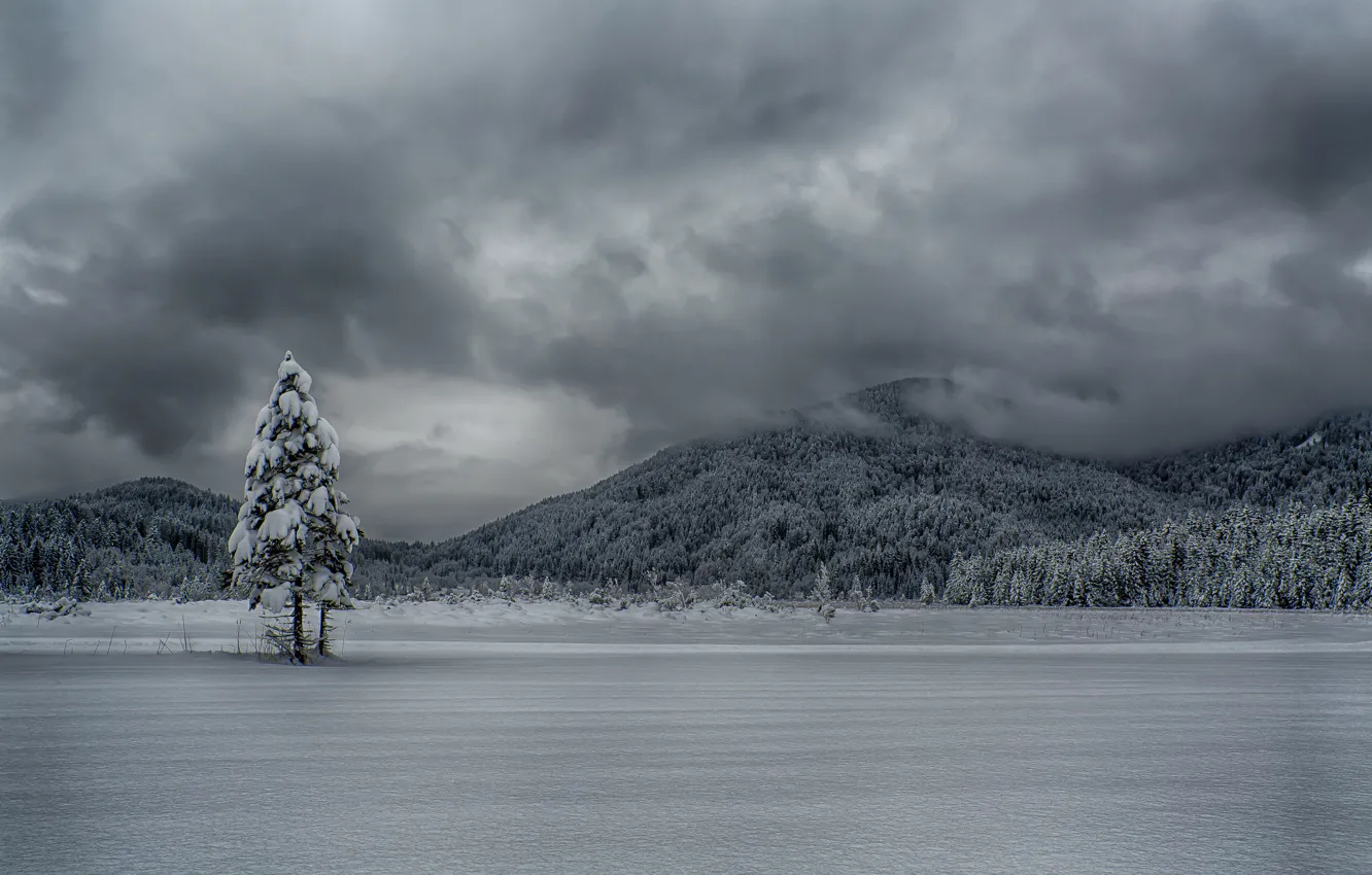 Photo wallpaper winter, the sky, clouds, mountains, lake, tree