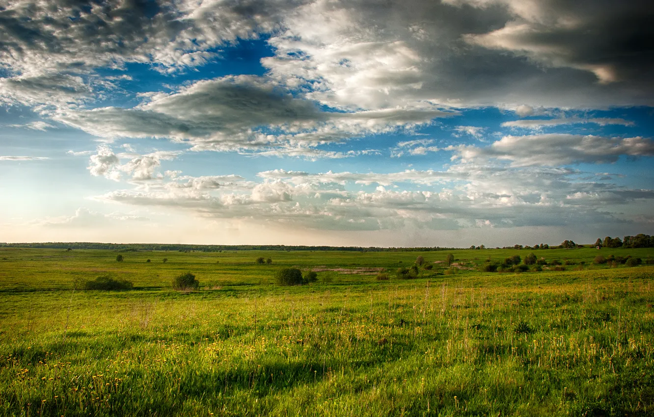 Photo wallpaper field, the sky, grass, landscape, nature