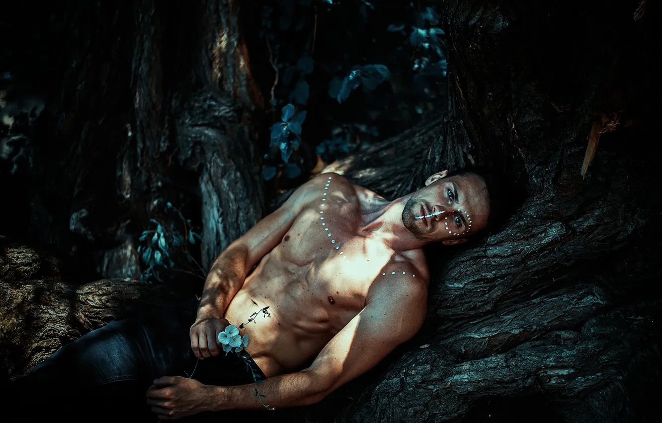 Photo wallpaper forest, look, light, trees, flowers, nature, pose, body