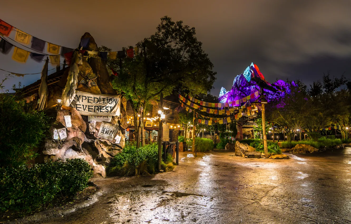 Photo wallpaper night, design, lights, Park, lights, CA, USA, Disneyland