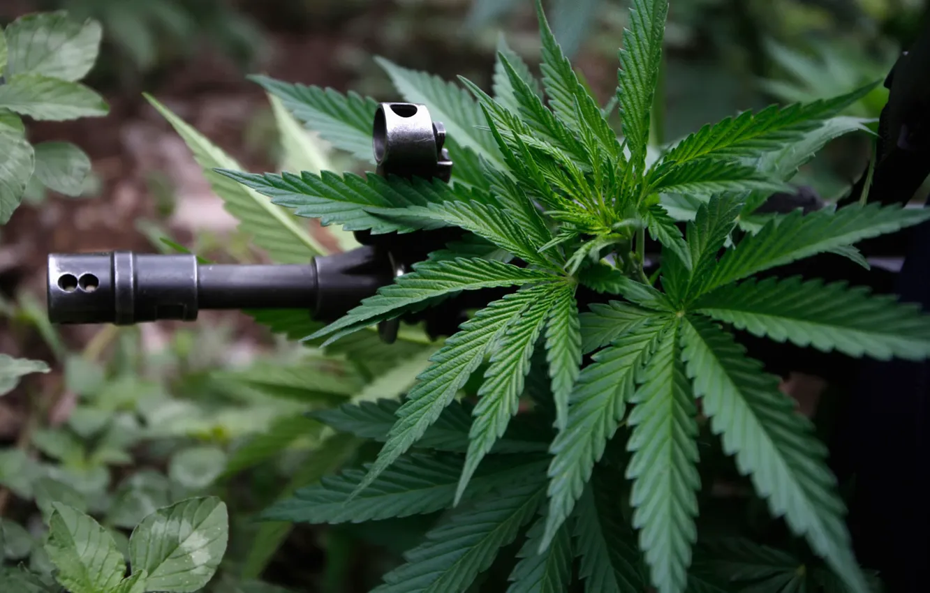 Photo wallpaper machine, cannabis, ganja, hash, hashish