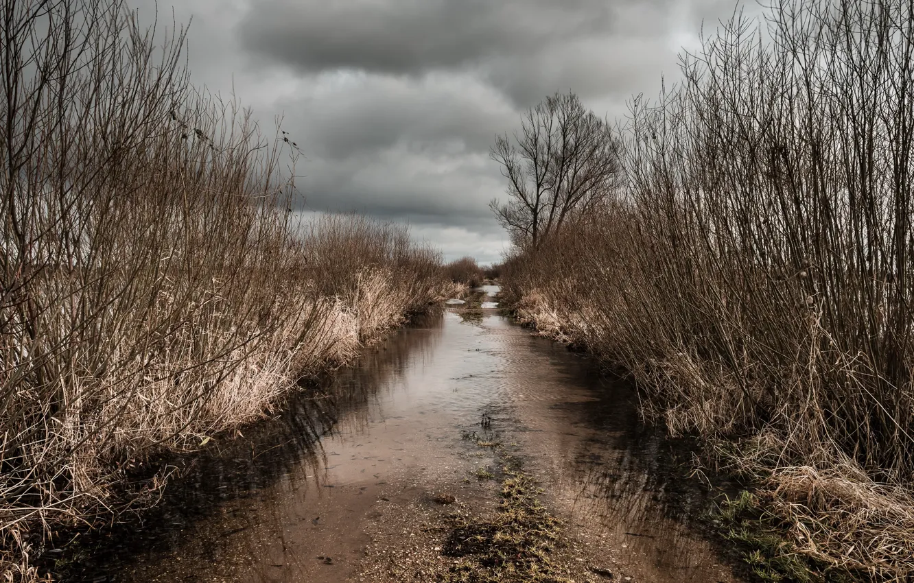 Photo wallpaper road, nature, puddle