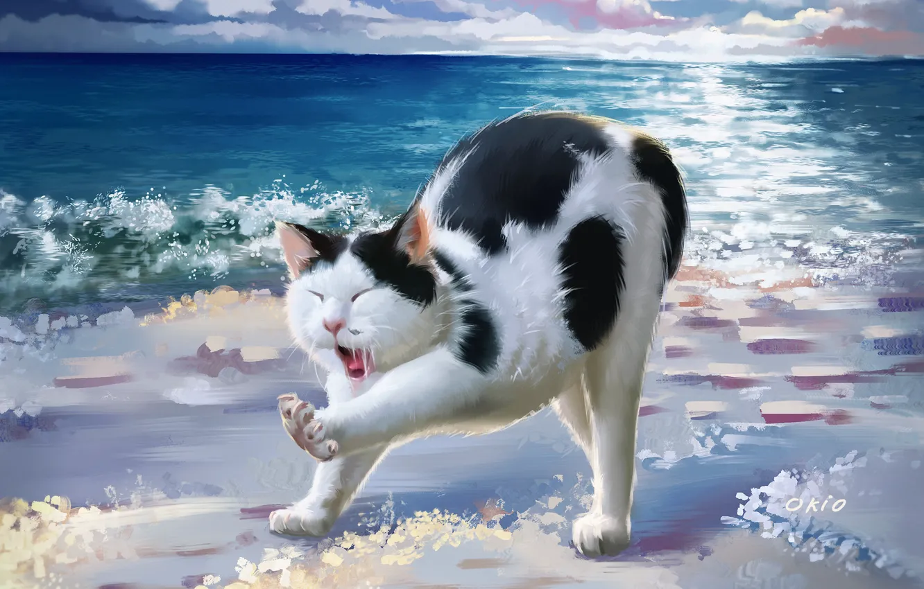 Photo wallpaper sea, cat, pose