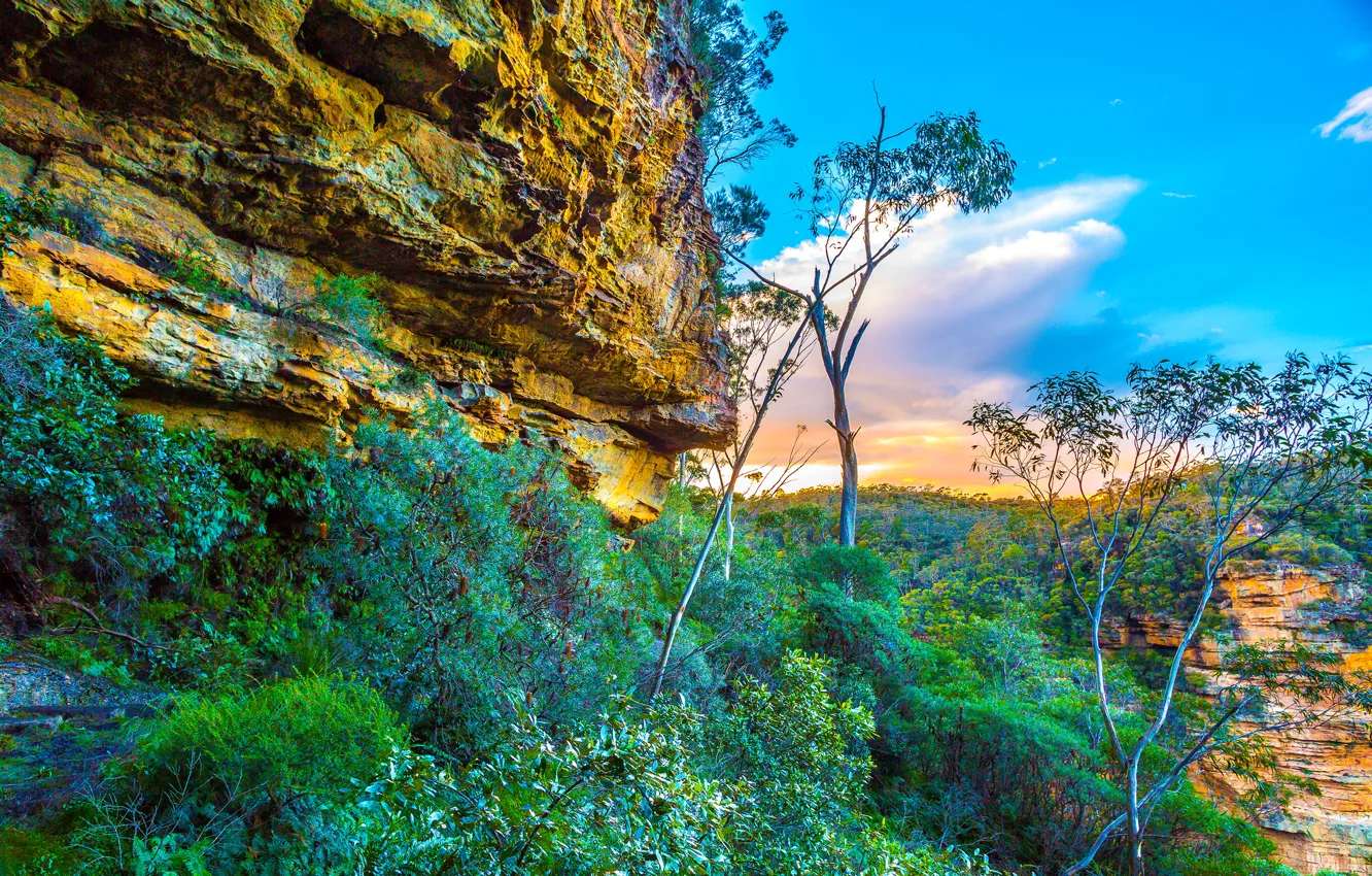 Photo wallpaper the sky, clouds, trees, rocks, Australia, Blue Mountains National Park