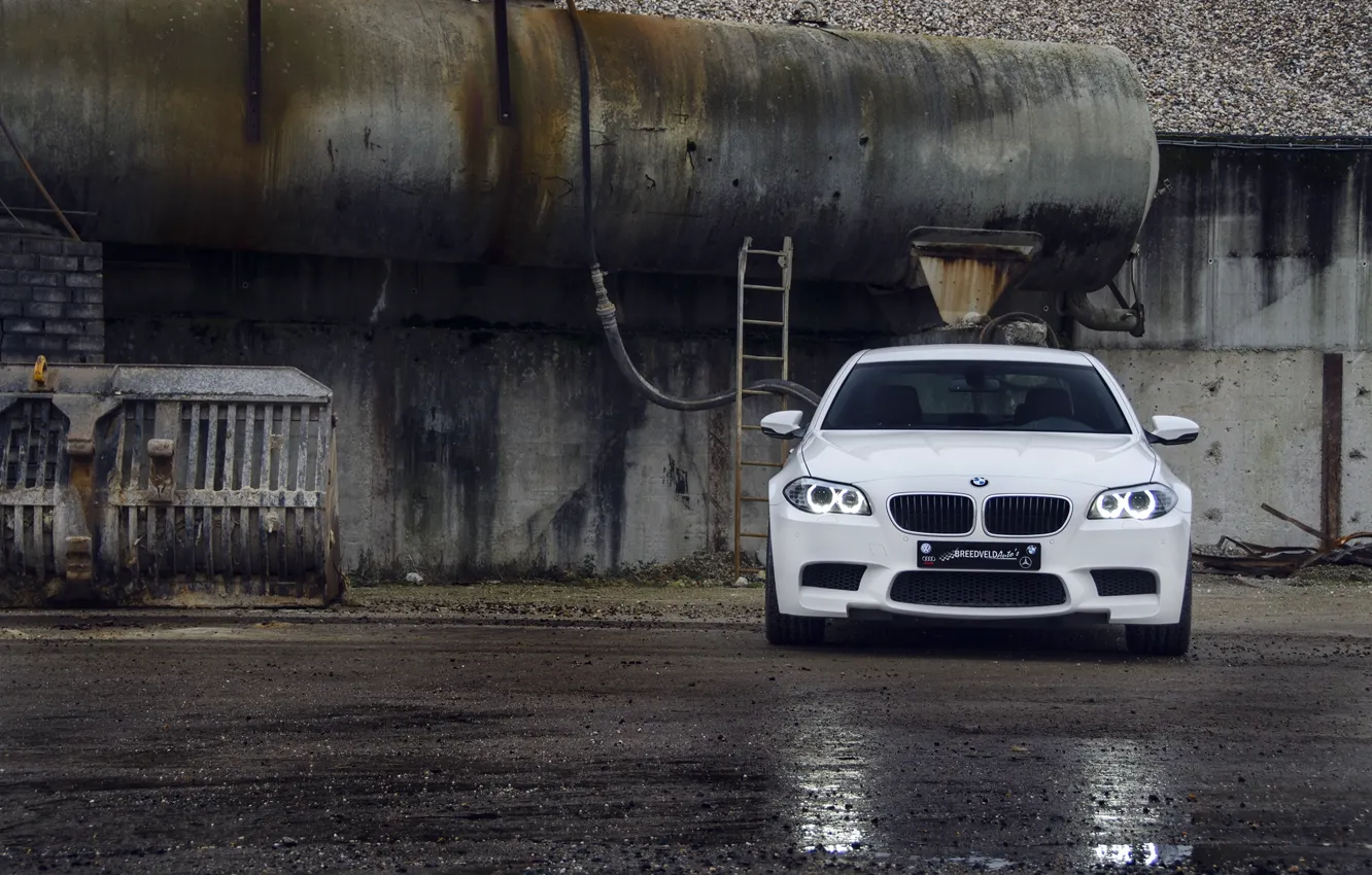 Photo wallpaper white, asphalt, wet, reflection, BMW, BMW, white, the front