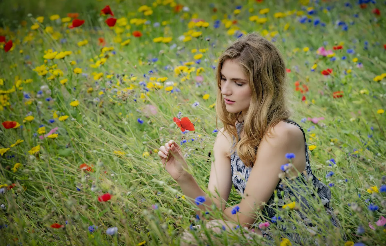 Photo wallpaper girl, flowers, meadow, bokeh, Viktoria