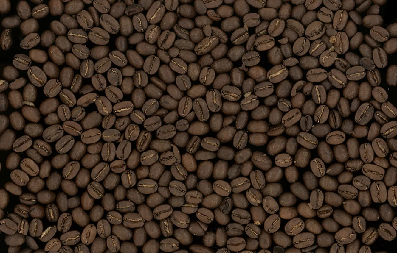 Photo wallpaper macro, background, grain, coffee, texture, grain