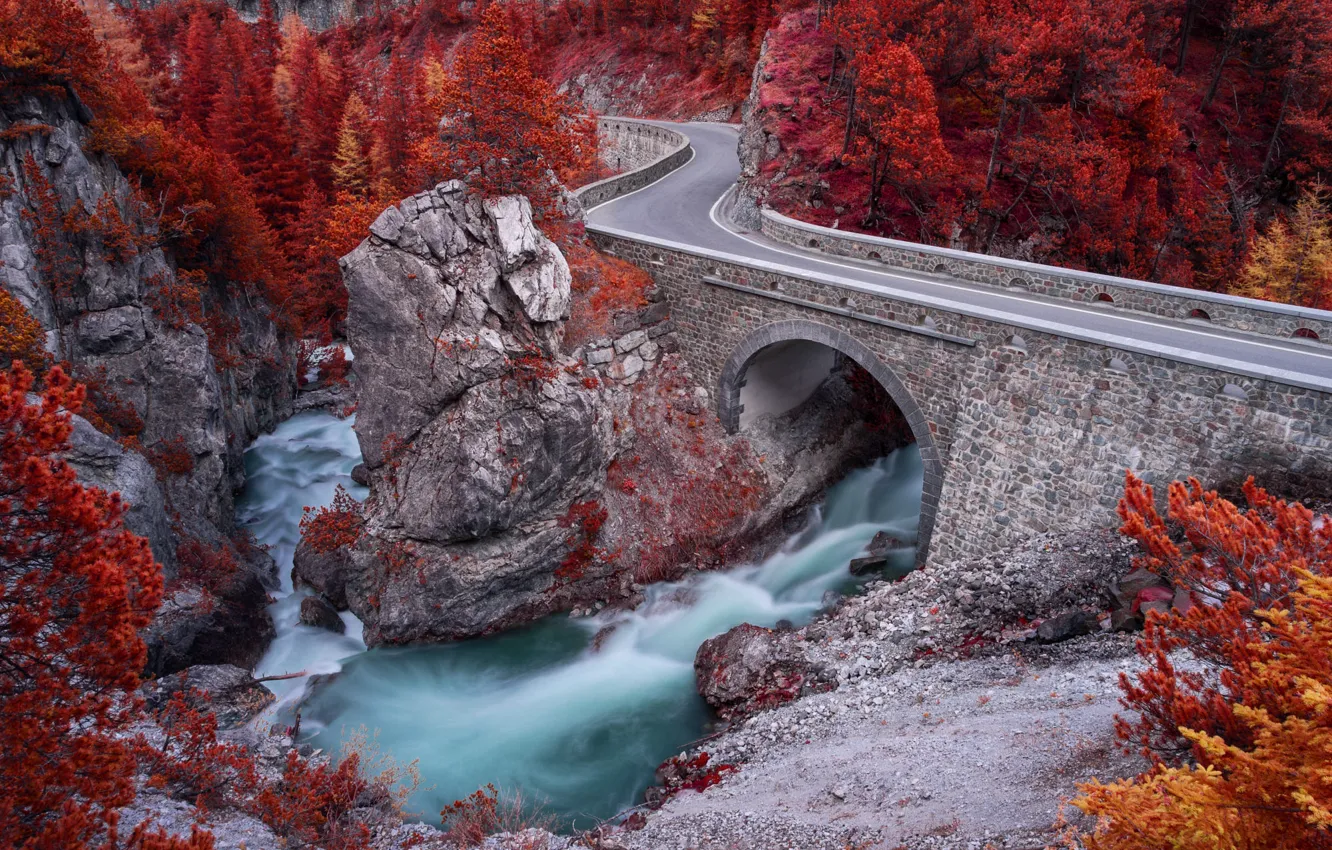 Photo wallpaper road, autumn, forest, bridge, river, for, arch, aqueduct