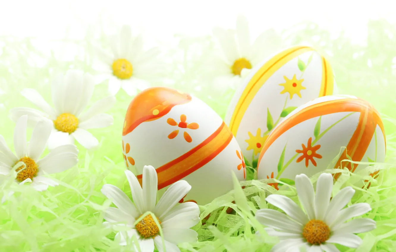 Photo wallpaper holiday, chamomile, eggs, Easter
