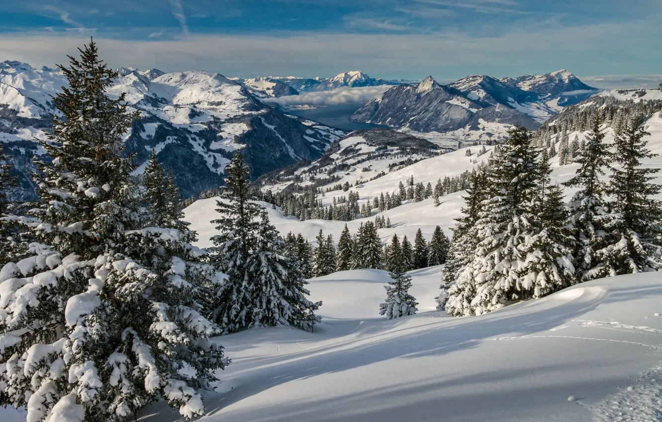 Photo wallpaper winter, snow, trees, landscape, mountains, nature, Switzerland, ate