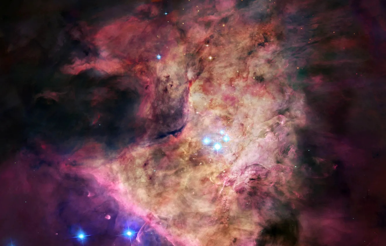 Photo wallpaper stars, nebula, dust, gas, constellation, Orion