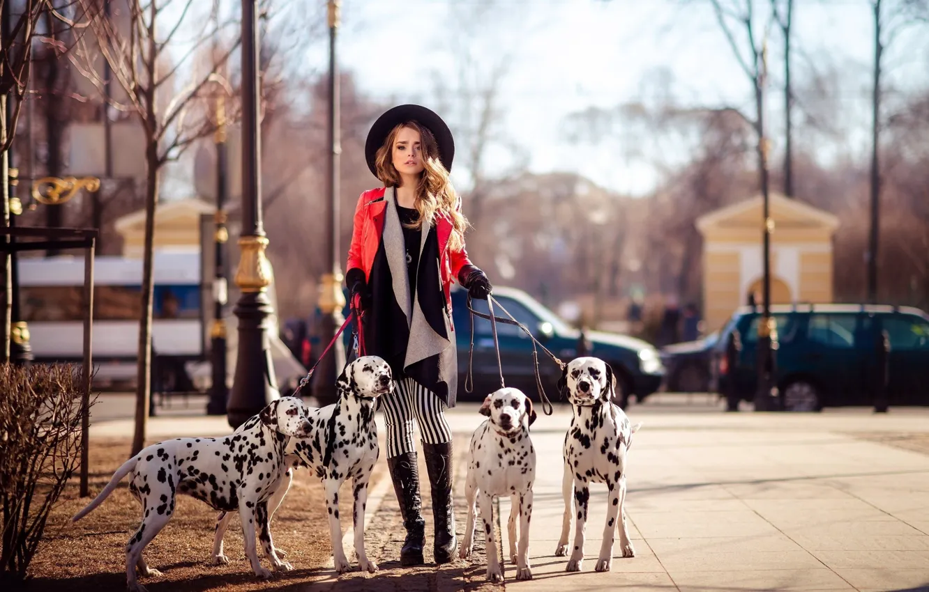 Photo wallpaper photography, dog, model, beauty, Lady