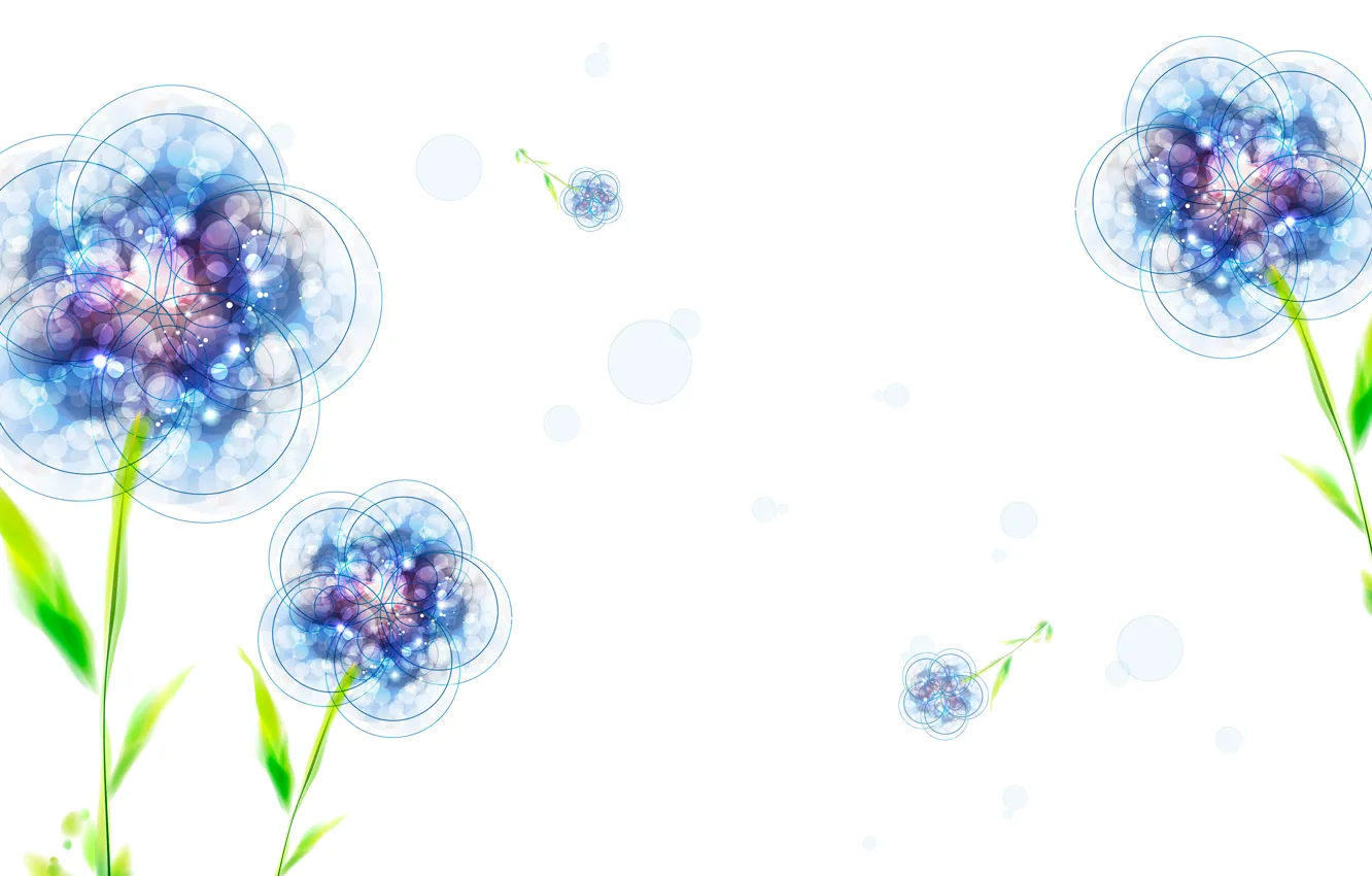 Photo wallpaper leaves, flowers, blue