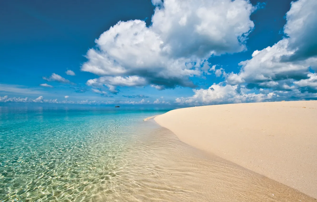 Photo wallpaper Leto, 2019, Oboi