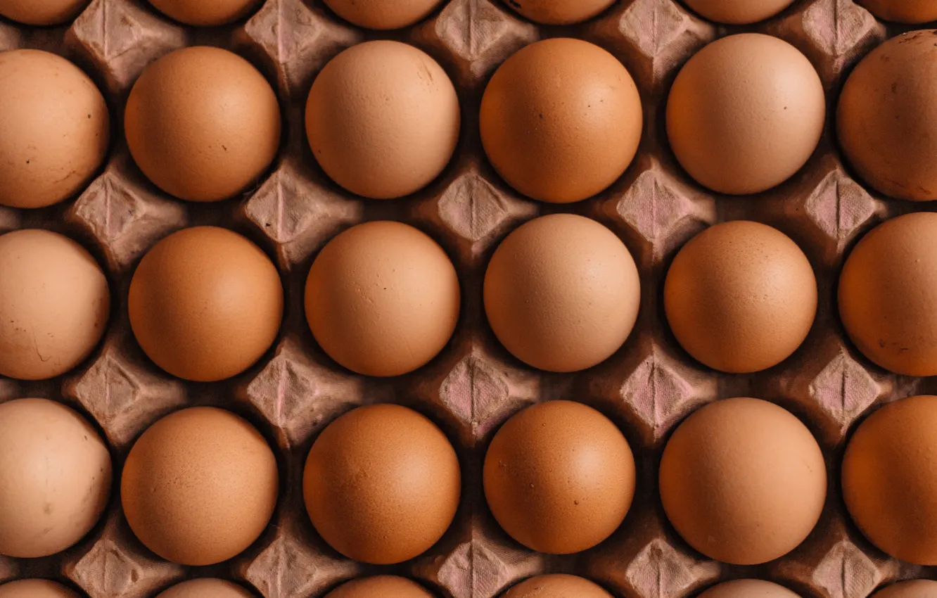 Photo wallpaper fresh, eggs, carton, shell, quality, quantity, symmetry, uniform color