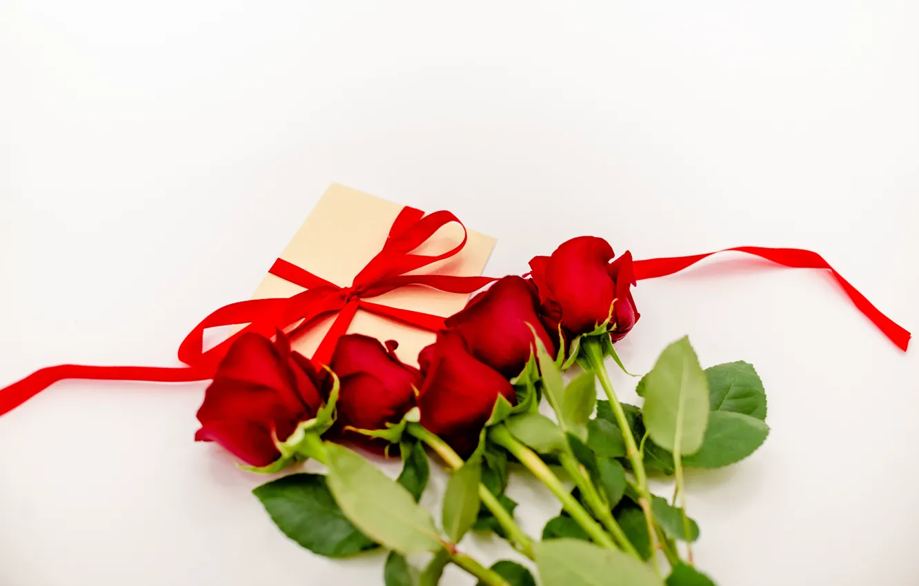 Photo wallpaper gift, roses, tape, red, red, March 8, flowers, romantic