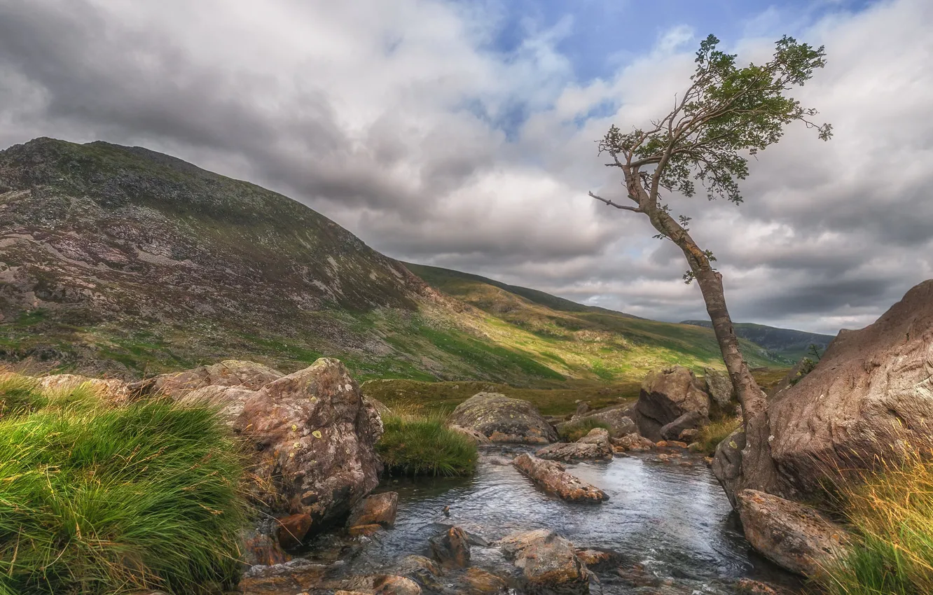Photo wallpaper mountains, river, stream, stones, tree, Wales, Snowdonia