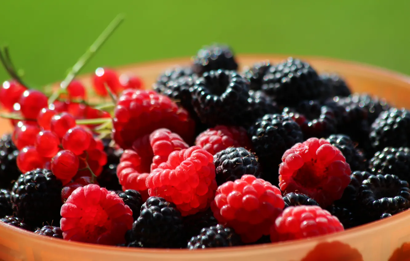Photo wallpaper summer, nature, berries, raspberry, beauty, vitamins, BlackBerry, delicious