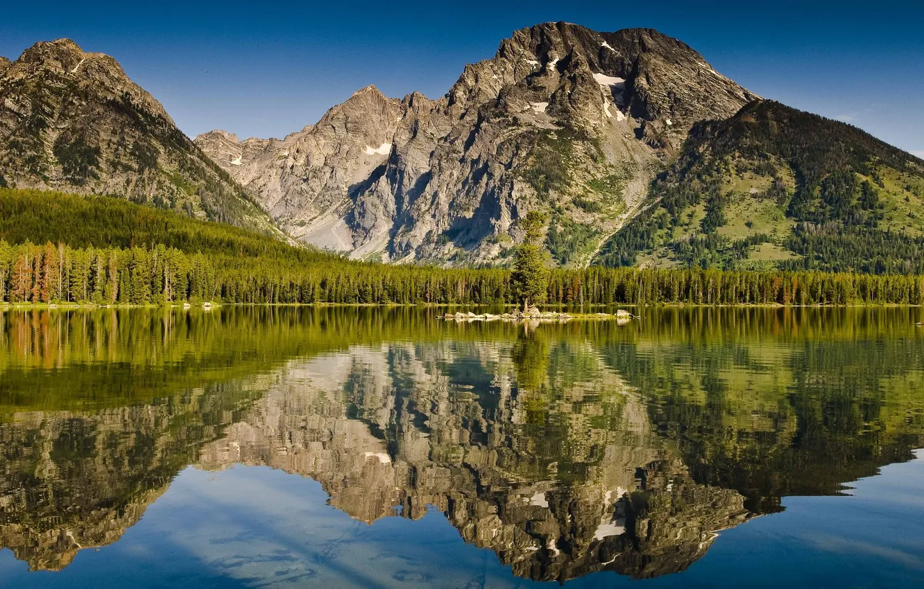 Photo wallpaper forest, mountains, lake, reflection
