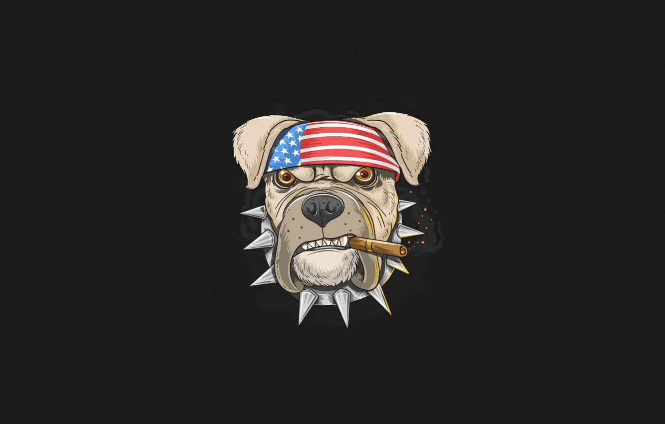 Photo wallpaper Minimalism, Dog, Smoke, Style, Collar, Background, USA, USA