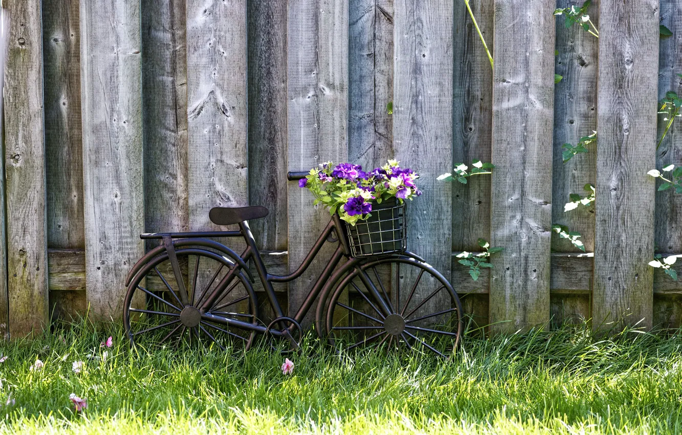 Photo wallpaper wallpaper, grass, bicycle, bike, wood, flowers, basket, lawn