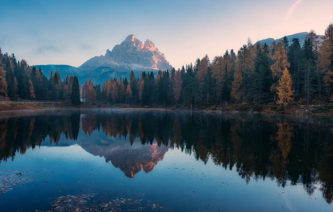 Photo wallpaper forest, mountains, lake, reflection, shore