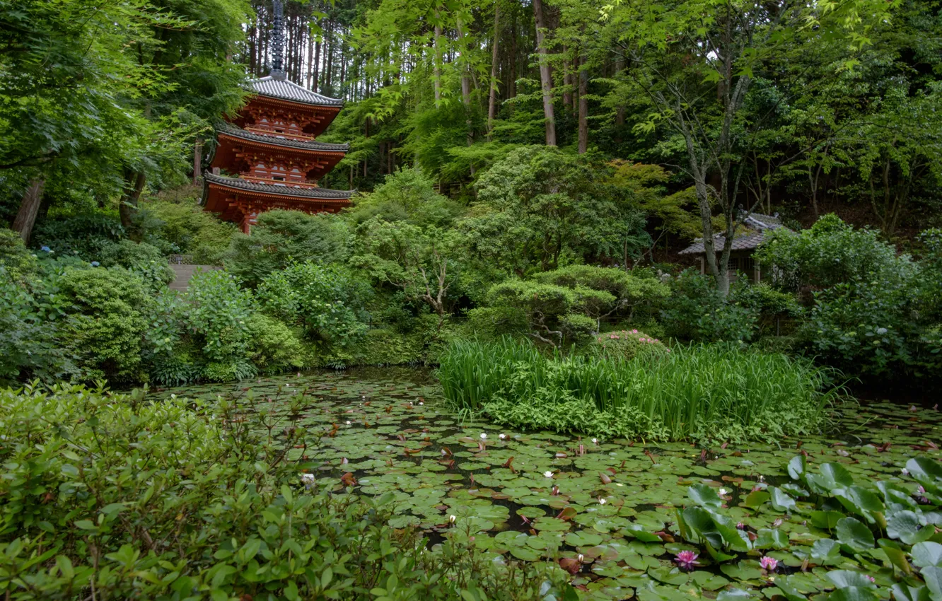 Photo wallpaper nature, pond, Japan, garden, Lily, temple