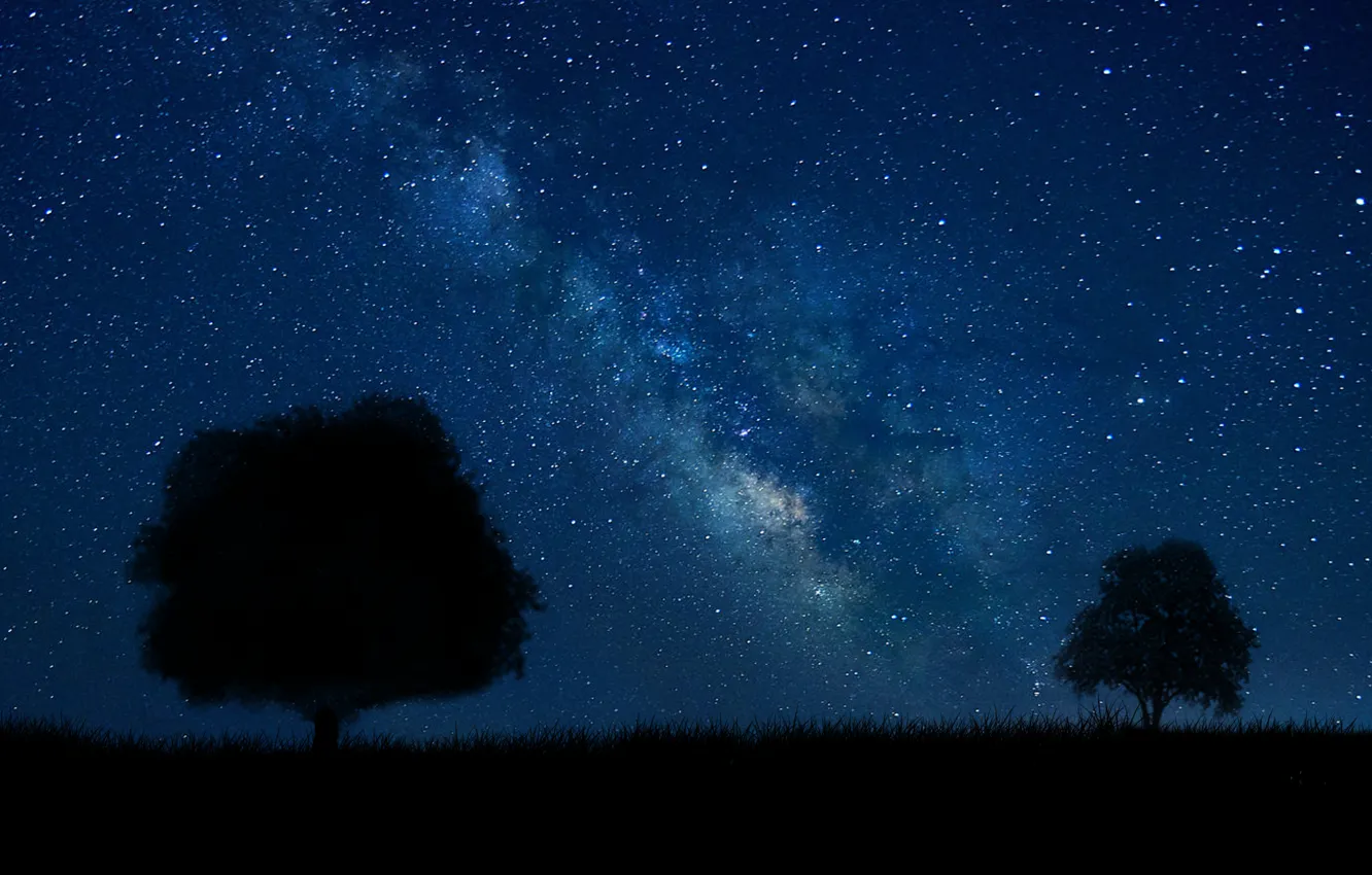 Photo wallpaper summer, white, grass, black, trees, blue, stars, tree