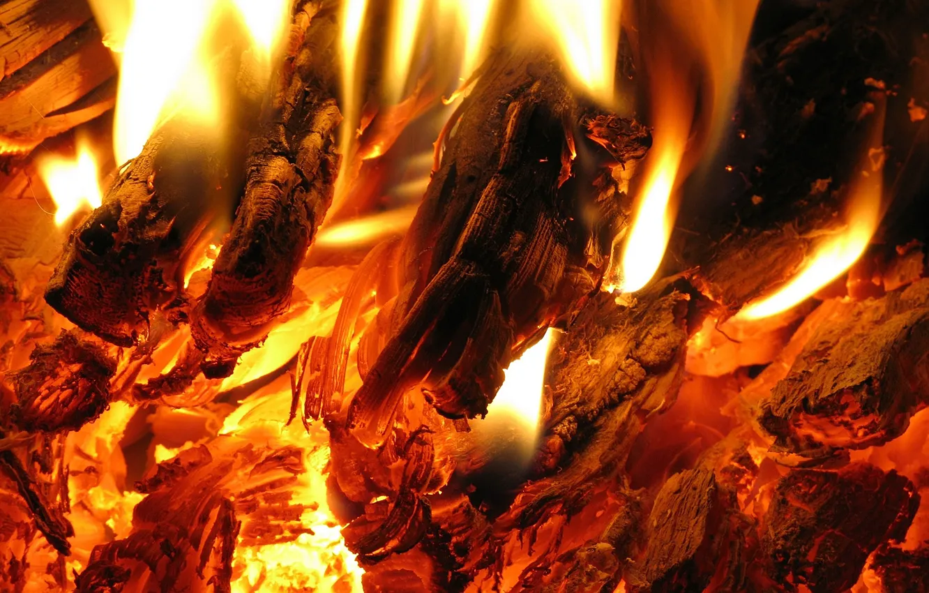 Photo wallpaper lights, flame, the fire, heat, coal
