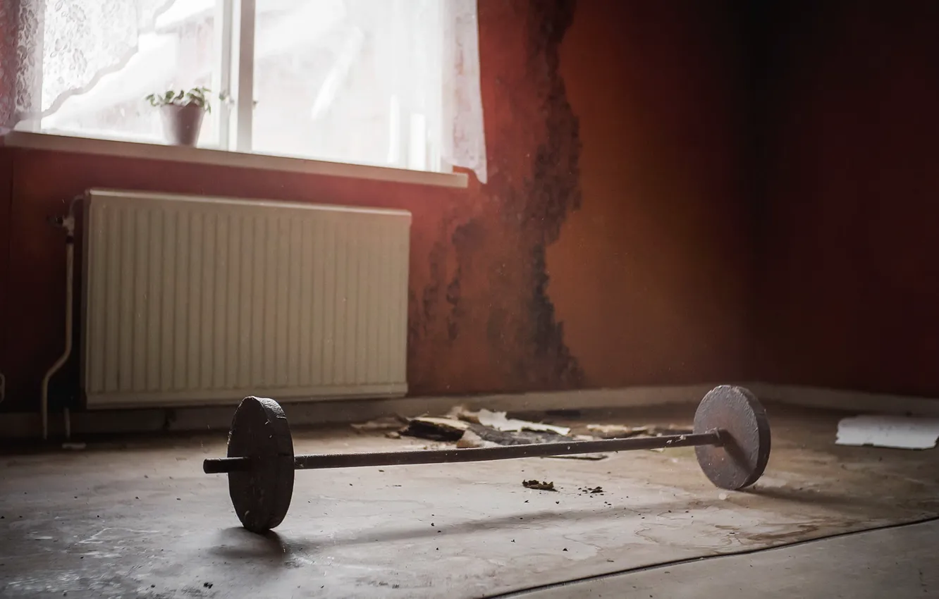 Photo wallpaper room, sport, rod