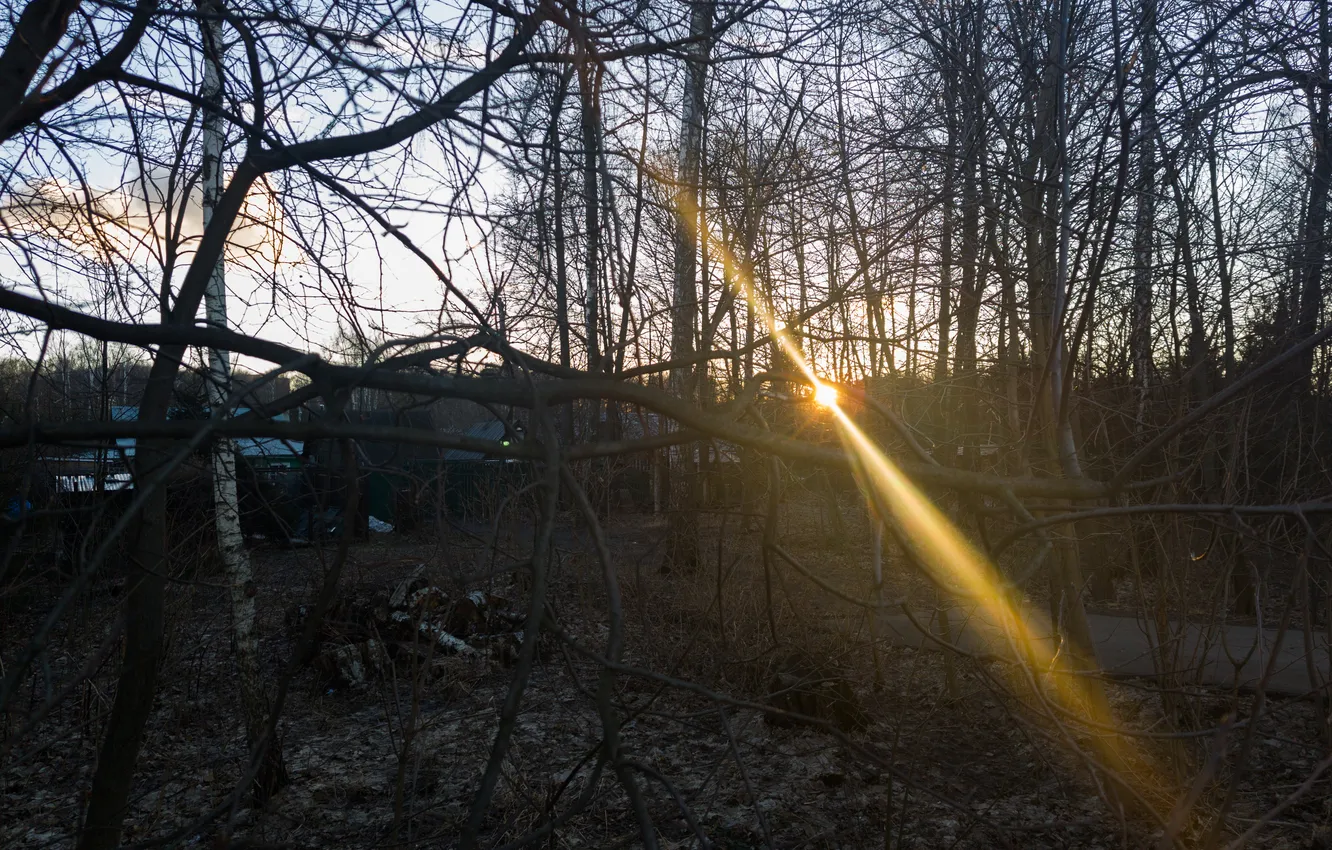 Photo wallpaper the sky, the sun, trees, building, home, spring, Russia, architecture