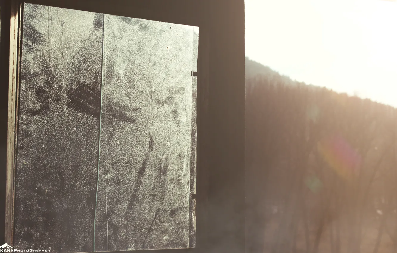 Photo wallpaper the sun, trees, window, wood, sun, window