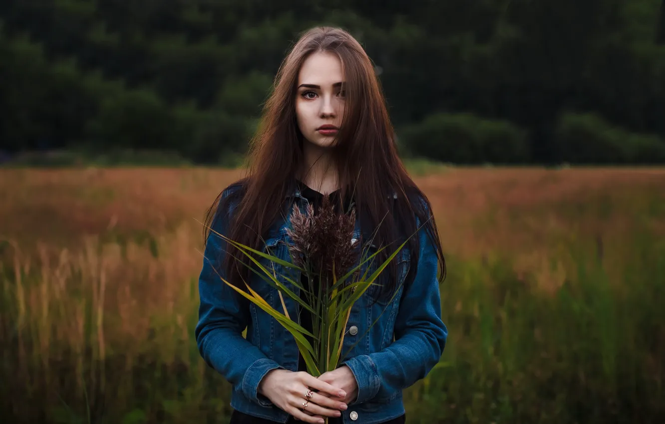 Photo wallpaper field, grass, look, girl, trees, model, portrait, hands