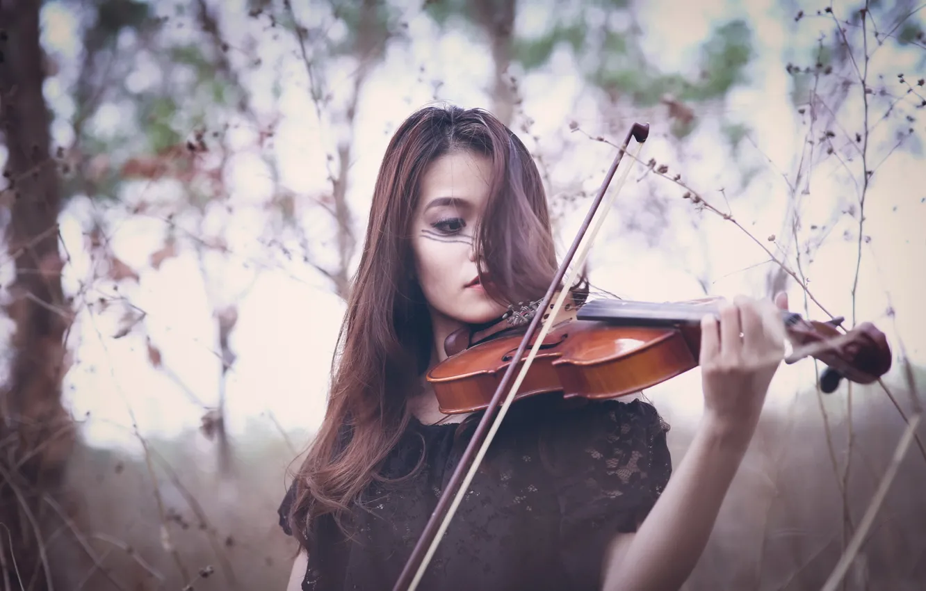 Photo wallpaper girl, violin, the game