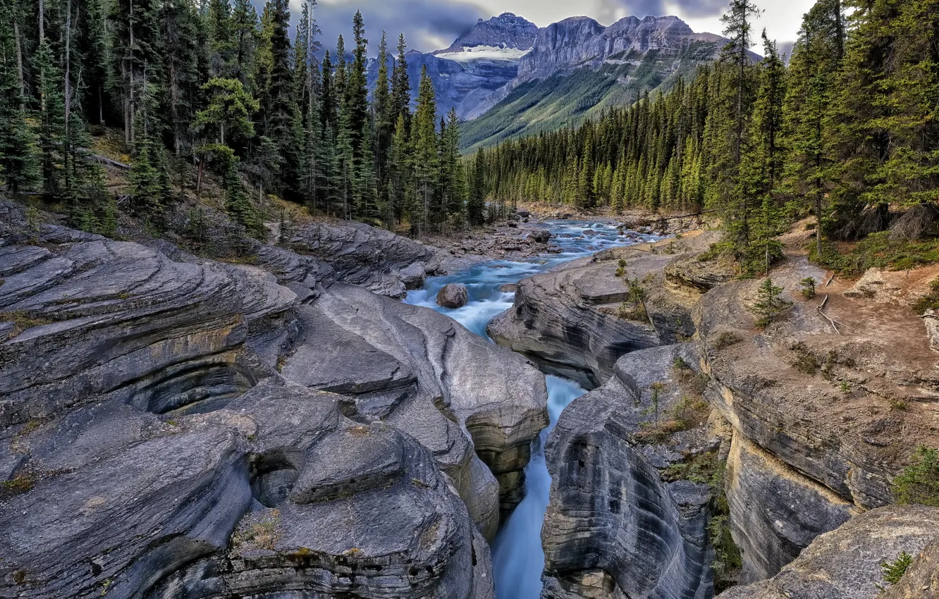Photo wallpaper forest, mountains, river, rocks, stream
