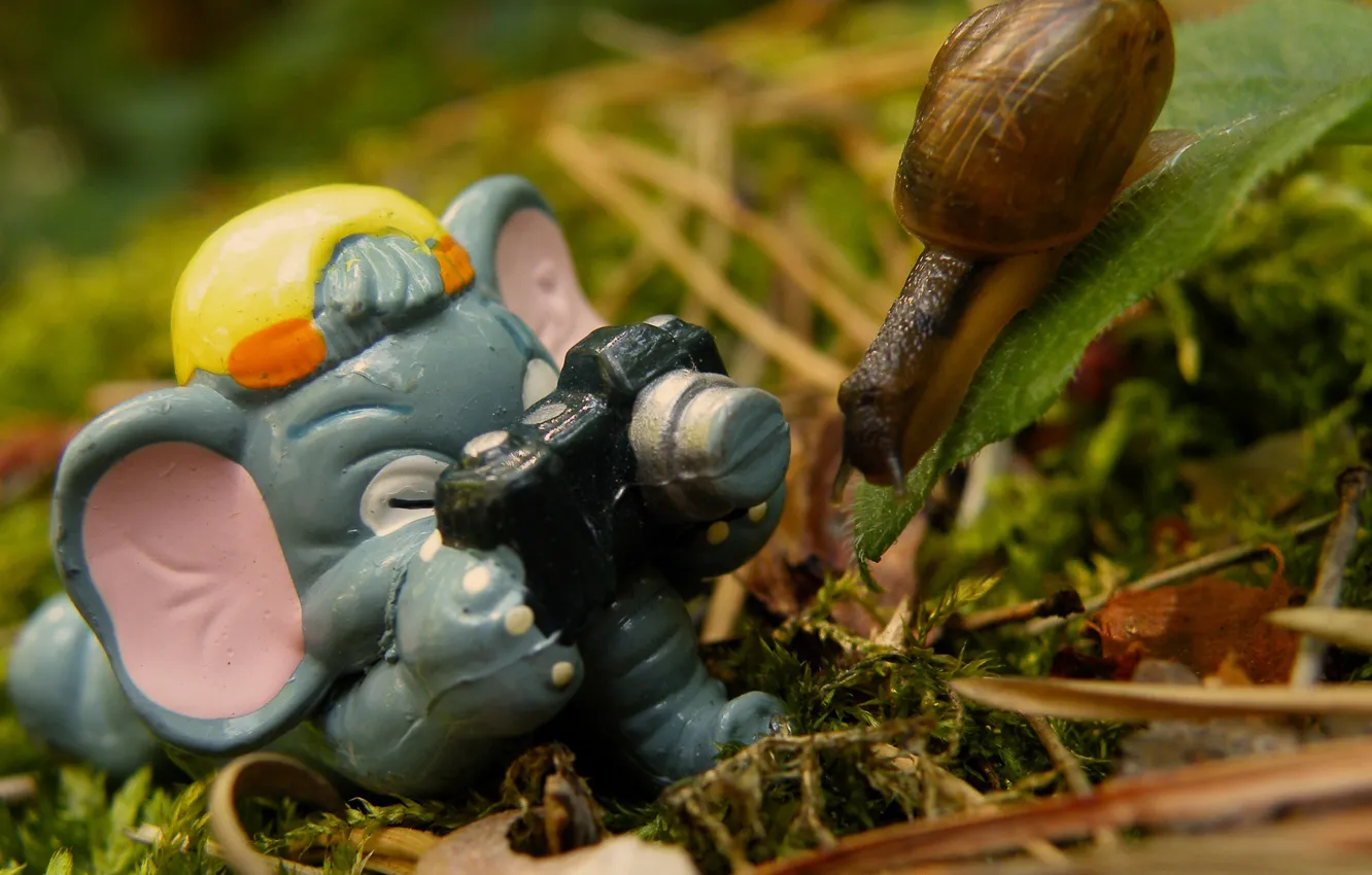 Photo wallpaper grass, leaves, childhood, toy, elephant, snail, the camera, lies