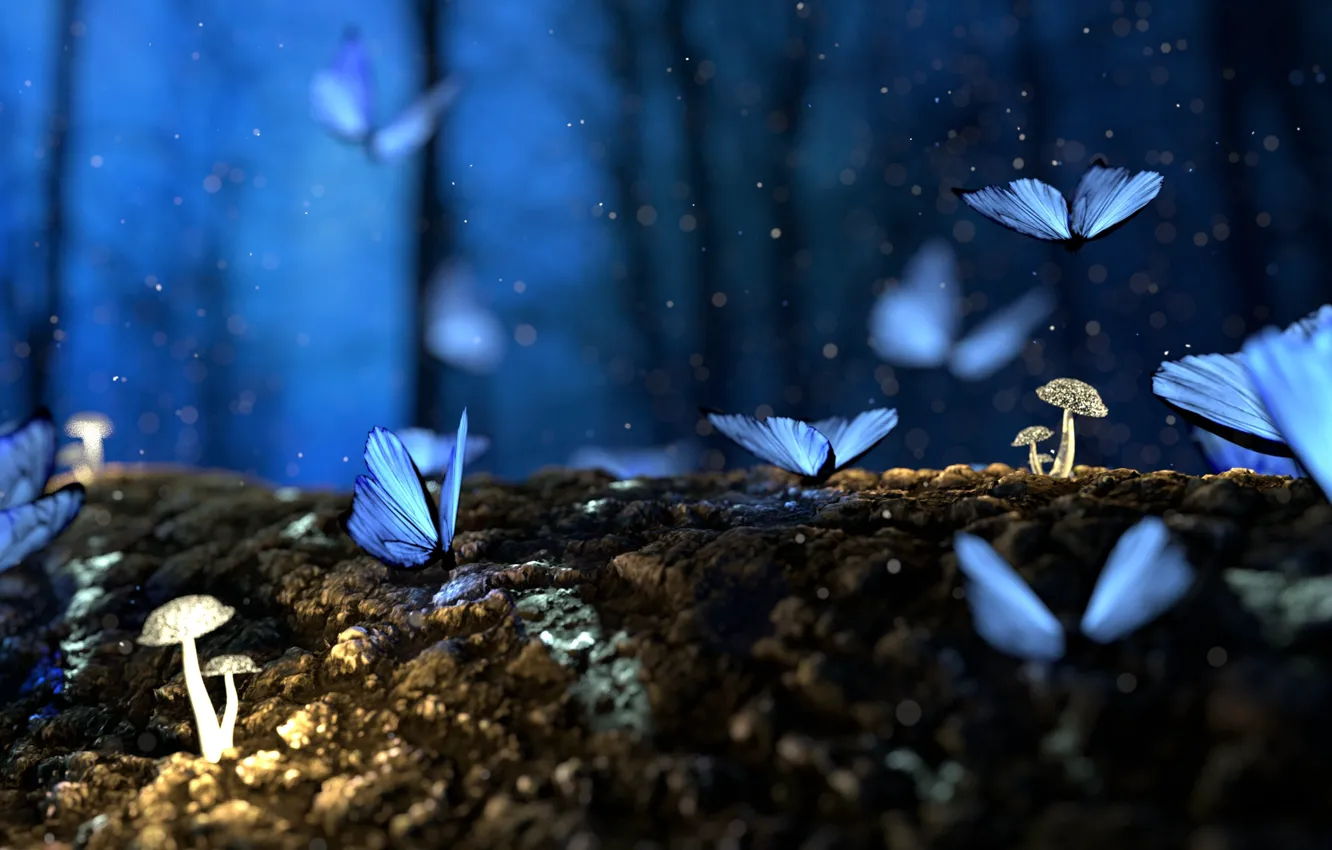 Photo wallpaper forest, nature, macro, mushrooms, butterflies