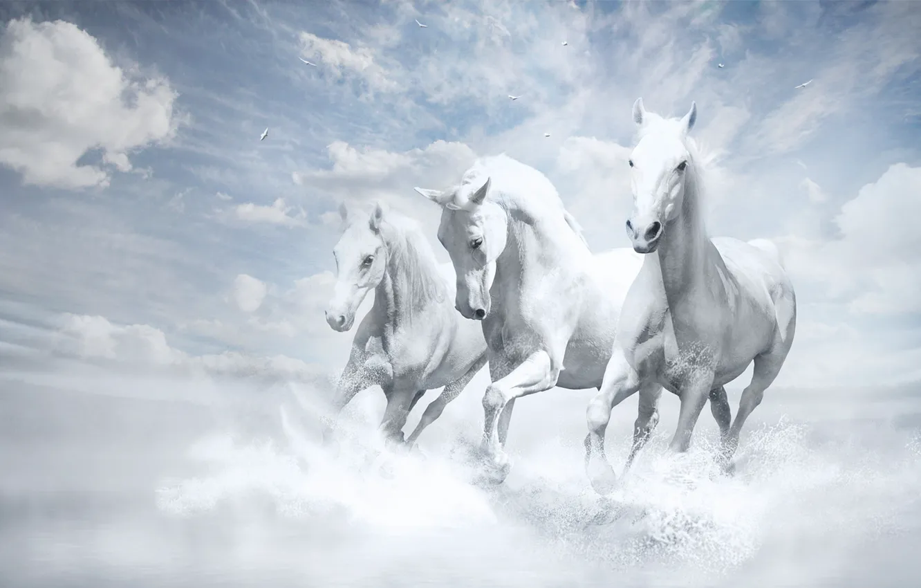 Photo wallpaper Wallpaper, White Horse, White Horses