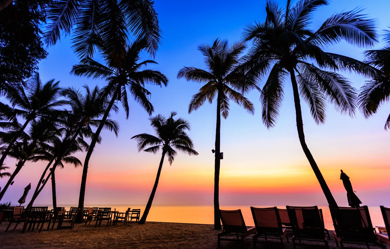 Photo wallpaper sea, beach, summer, sunset, palm trees, shore, silhouette, summer