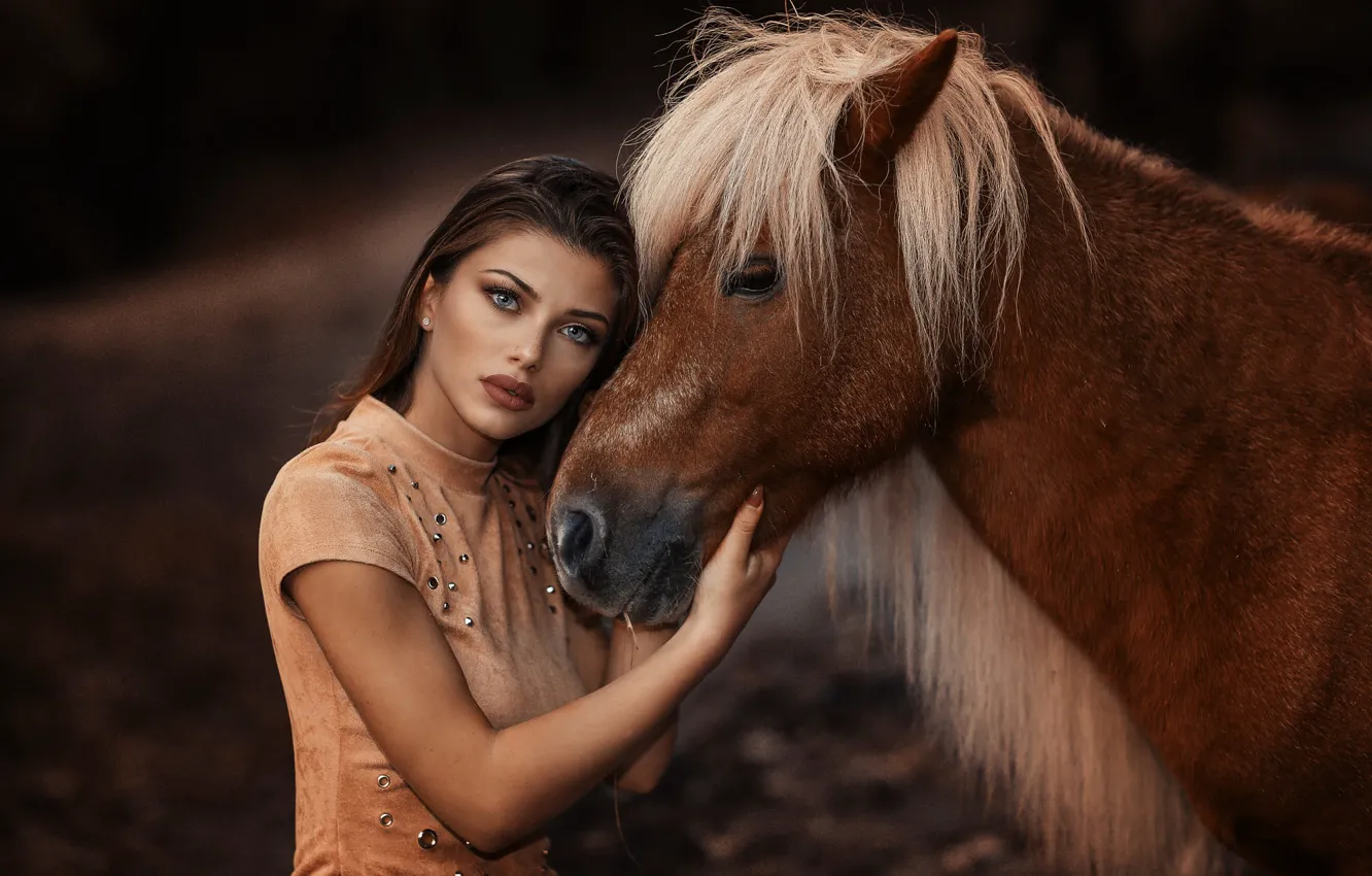 Photo wallpaper makeup, sponge, horse, Alessandro Di Cicco, The Pony